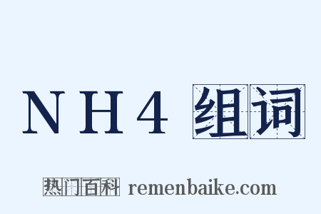 NH4组词是什么意思的图片